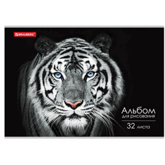 Альбом для рисования "BRAUBERG" Тигр скоба А4 32 л.(10)