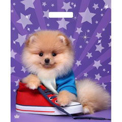 Пакет "ТИКОПЛАСТИК" вырубная ручка 450*380*0,06 песик глянцевый 1 шт /в запайке 50 шт/.(50)