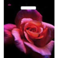 Пакет "ТИКОПЛАСТИК" вырубная ручка ламинированный 400*310*0,06 малиновая роза 1 шт /в запайке 50 шт/.(50)