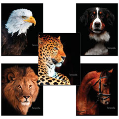 Тетрадь общая "BRAUBERG" Животные скоба А5 в клетку 48 л.(10)